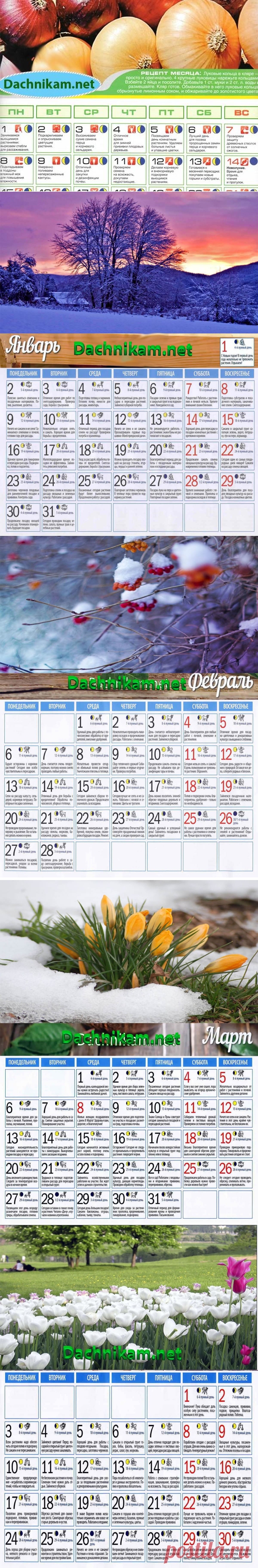 Лунный календарь садовода и огородника на 2017 таблица