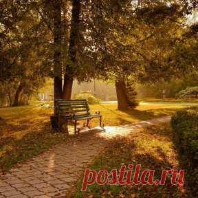 Университетская роща в сентябре. Фото: Алина Оленбург.