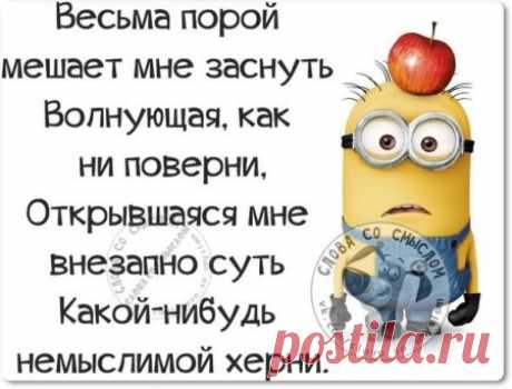 Прикольные «правдивости»;)) Пост метких фраз