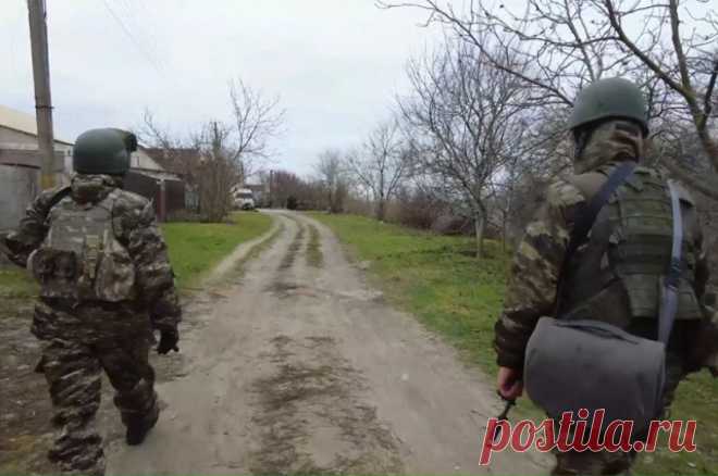 Бездомная собака Чубака стала талисманом разведчиков Южной группировки. Предположительно, собака потерялась либо лишилась хозяина из-за бомбежек.