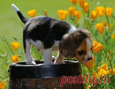 Татьяна: Можно накрасить ресницы, губы, наложить румяна... Но блеск в глазах может "нарисовать" только любимый мужчина!
