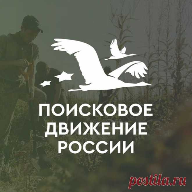 13 марта – День рождения поискового движения!