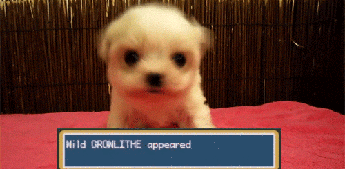 (29) Tumblr