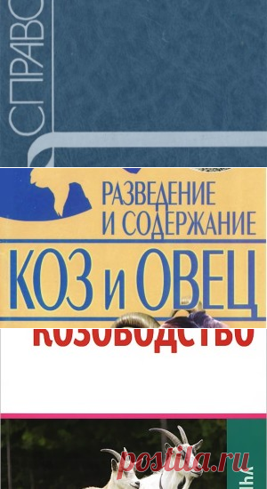Овцеводство и козоводство. Справочник - Архипов