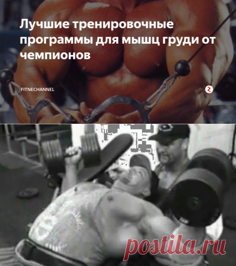 Лучшие тренировочные программы для мышц груди от чемпионов | fitnechannel | Яндекс Дзен
