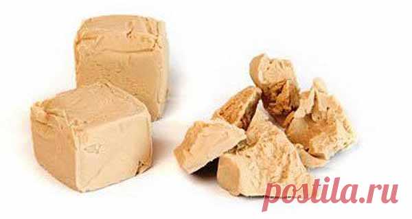 Подтягивающая, питательная и увлажняющая маски для век в домашних условиях