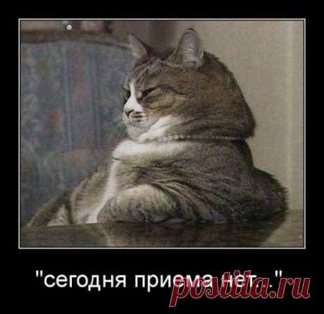 МЭР