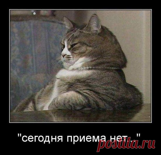 МЭР