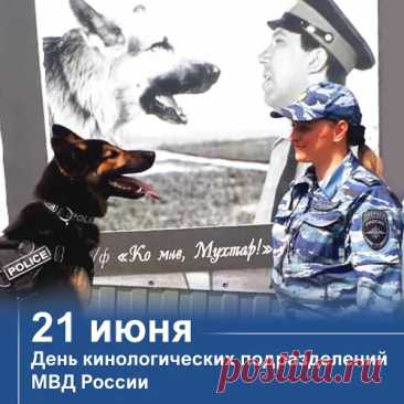 Кинологи! Поздравим вас сейчас!
Собачки служат среди вас.
Вы многому их учили,
К ним отношенье изменили.