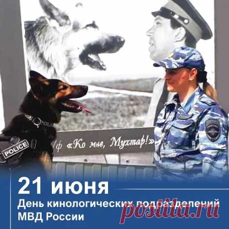 Кинологи! Поздравим вас сейчас!
Собачки служат среди вас.
Вы многому их учили,
К ним отношенье изменили.