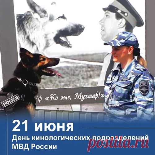 Кинологи! Поздравим вас сейчас!
Собачки служат среди вас.
Вы многому их учили,
К ним отношенье изменили.