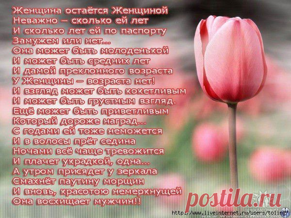 Интересные новости