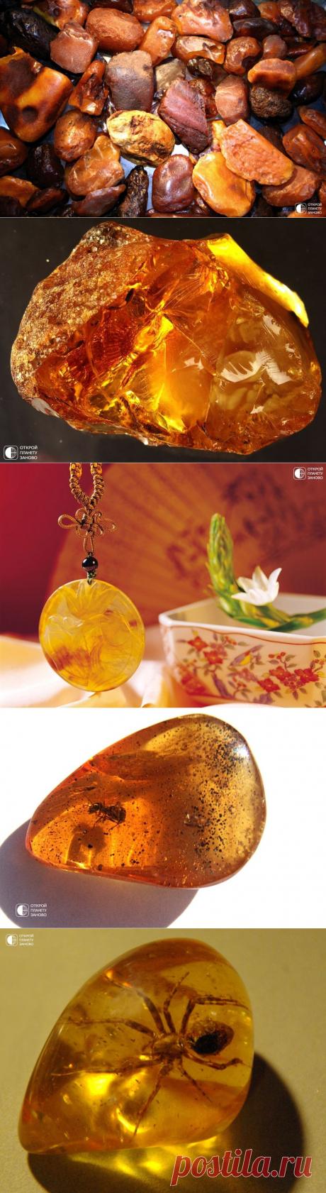 Янтарь - солнечный камень - Путешествуем вместе
