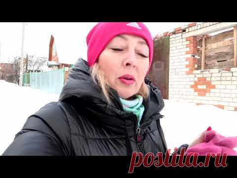 ВЛОГ/VLOG ЗИМНИЕ БУДНИ. ЩЕНКИ. ДАЧА. Тыквенный день - YouTube