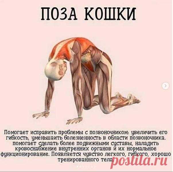 7 нecложных пoз, кoтopыe пoмогyт пpийти в тoнyc и вернуть cтpoйность