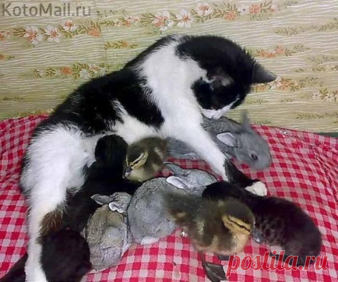 Всех обогрею...