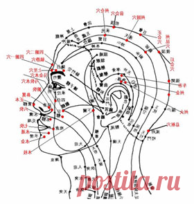 Эликсир Молодости - благодарим вас за подписку | Оздоровительная Гимнастика Цигун