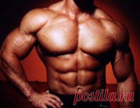 Как быстро накачать мышцы в домашних условиях &amp;laquo;  Будь Здоров