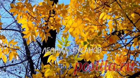 `СЛИШКОМ ПОЗДНЯЯ ЛЮБОВЬ` - Песня берёт за душу!