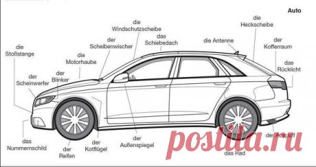 Автомобили / Изучение немецкого языка