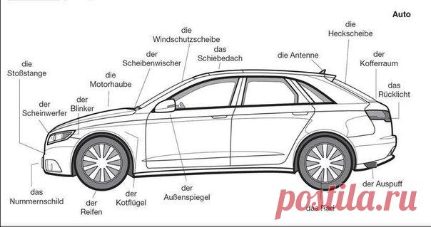Автомобили / Изучение немецкого языка