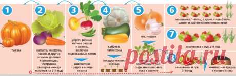 Каждую весну мы мучаемся одними и теми же проблемами