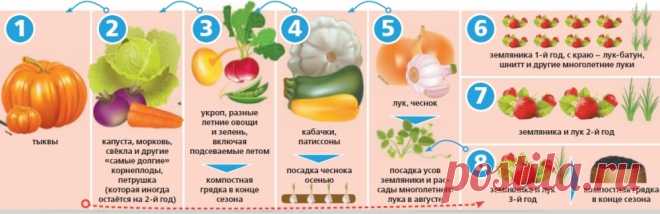 Каждую весну мы мучаемся одними и теми же проблемами