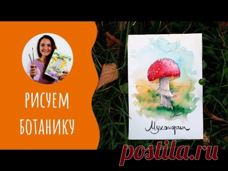 Бесплатный курс по скетчингу - Учимся рисовать ботанику