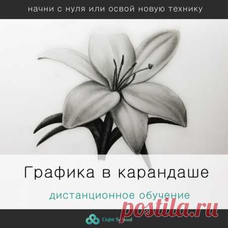 😜Рисуешь или хочешь научиться? ✏Курс &quot;Графика в карандаше&quot;. С нуля до реализма. ❤Мы гарантируем, что Вы научитесь рисовать карандашом! Узнай программу курса и все подробности, кликни по ссылке ниже 👇