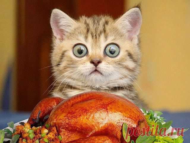 И что так кричать.....Я только понюхать хотел :)))