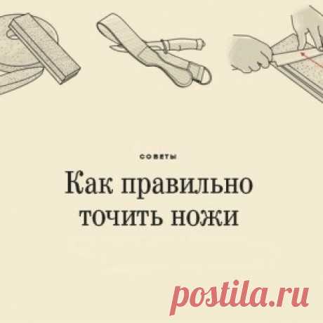 Рекомендации по заточке ножей - МирТесен