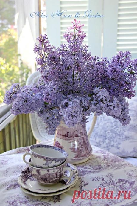 https://ru.pinterest.com/pin/132363676525161935/