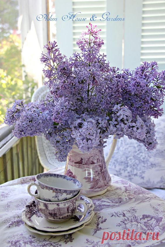 https://ru.pinterest.com/pin/132363676525161935/