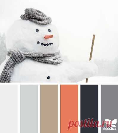 Design Seeds® | find your palette