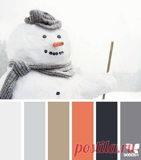 Design Seeds® | find your palette