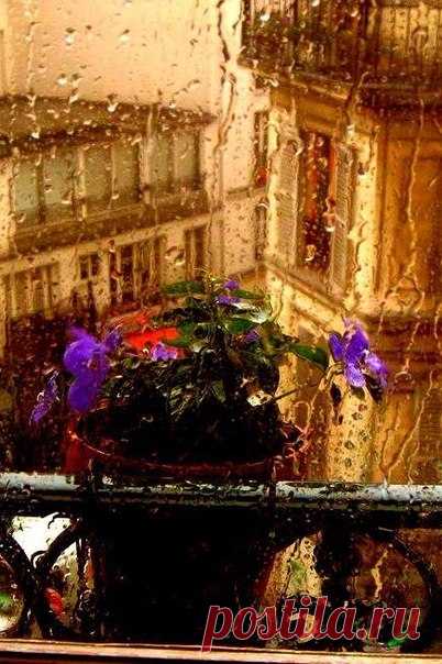 КАКОЙ СЕГОДНЯ ПРАЗДНИК? 19 Октября 2016 г. – Среда • День написания письма в будущее • День лицеиста • День раздавленных пузырей • День ракетно-артиллерийских войск - Армения • День юриста - Молдавия • Именины у Фомы, Земовита, Иоанна, Пётра • День святого апостола Фомы