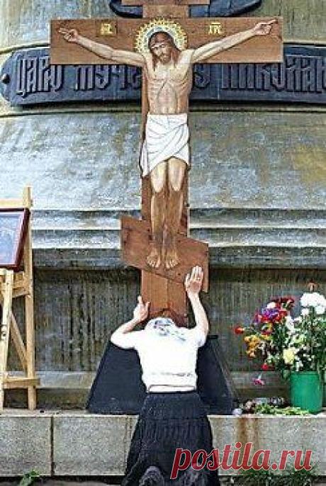 (49) Одноклассники