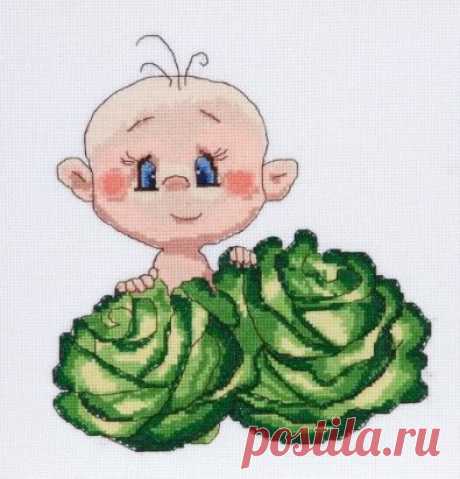 (75) Одноклассники