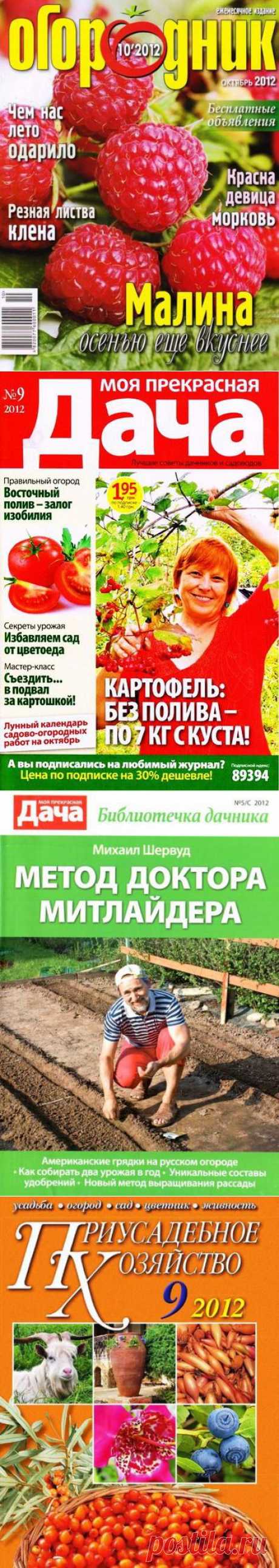 Сад и огород | Записи в рубрике Сад и огород | ЕЛЕНА ЭШТ