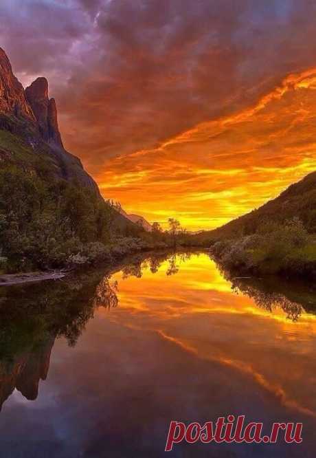 Art Of Nature