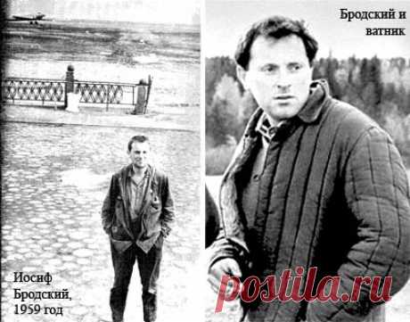 БРОДСКИЙ КЁНИГСБЕРГ. В столице Восточной Пруссии советский поэт-диссидент спасал честь пионеров | Типичный Калининград