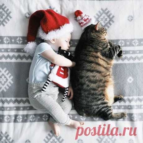 Стена