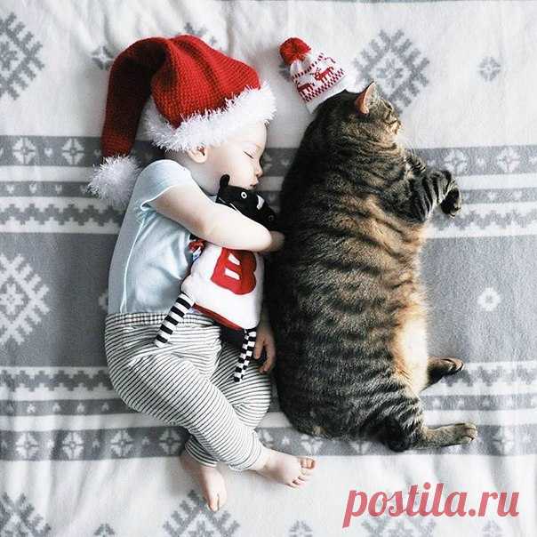 Стена