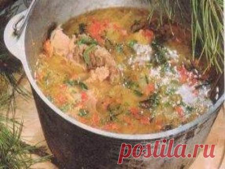 Капустняк из квашеной капусты / Щи / TVCook: пошаговые рецепты c фото