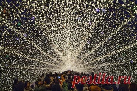 (9) Одноклассники