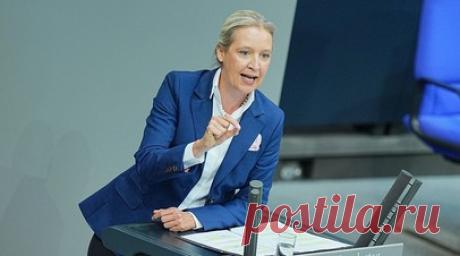 Вайдель заявила о готовности возглавить процесс политических перемен в Германии. Сопредседатель «Альтернативы для Германии» Алиса Вайдель заявила о готовности возглавить процесс политических преобразований в ФРГ. Читать далее
