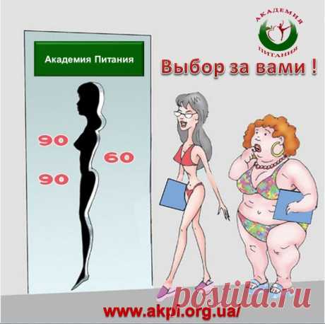 Внимание!!! Онлайн Академия Питания для желающих похудеть без изнуряющих диет и голодовок. Начался набор в новую Группу!  Не упустите свой шанс привести фигуру в порядок  и выглядеть самой красивой и стройной!!! Приглашаю всех на ознакомительное занятие   https://4.ak-pitaniya.com/
