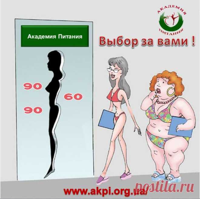 Внимание!!! Онлайн Академия Питания для желающих похудеть без изнуряющих диет и голодовок. Начался набор в новую Группу!  Не упустите свой шанс привести фигуру в порядок  и выглядеть самой красивой и стройной!!! Приглашаю всех на ознакомительное занятие   http://4.ak-pitaniya.com/