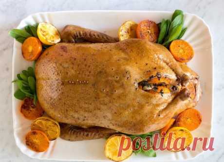 Простые и вкусные блюда из индоутки – украшение праздничного стола! — Вкусные рецепты