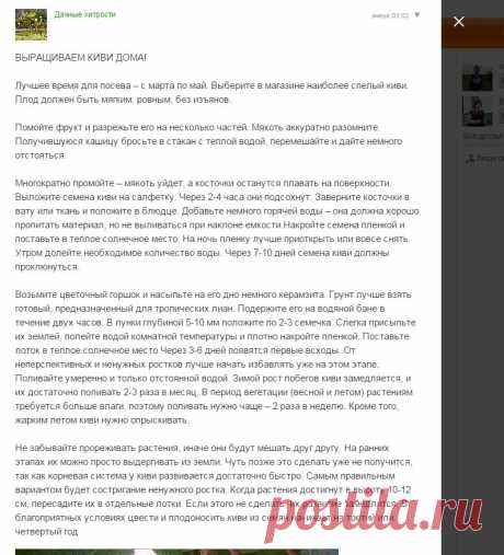(2) Одноклассники